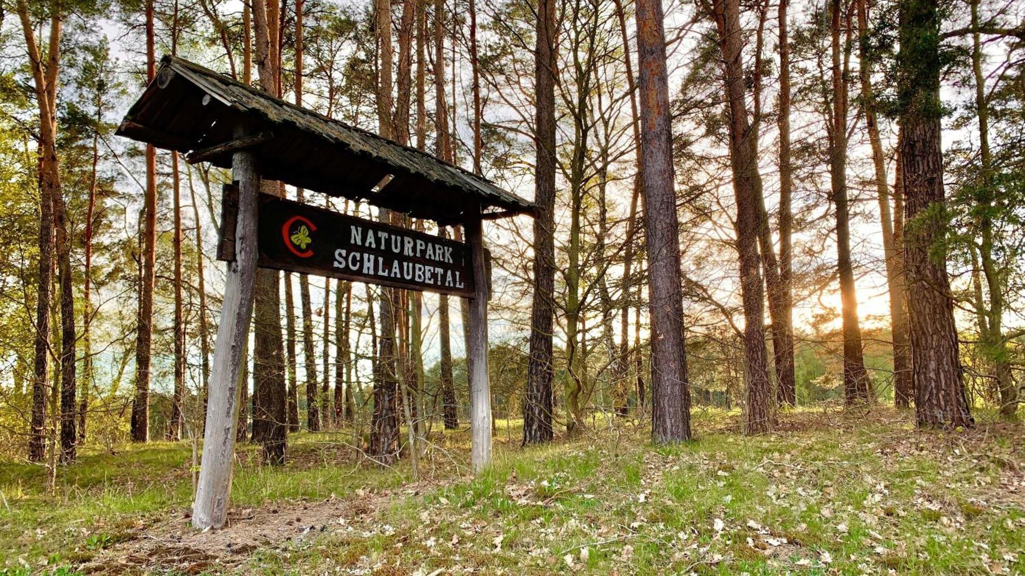 Naturnahe Gaestewohnung Im Heidelandhaus Henzendorf Neuzelle Bagian luar foto